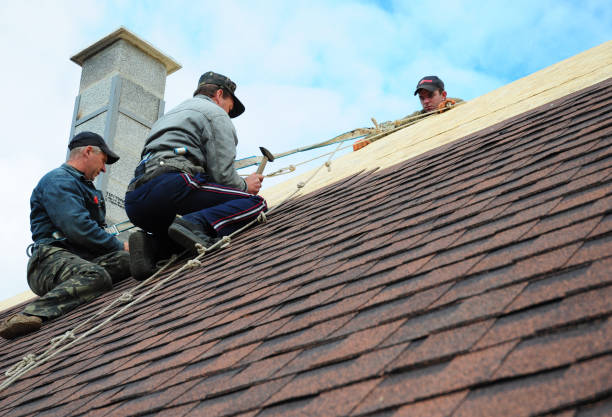 Best Metal Roofing Contractor  in Montgomery, IN